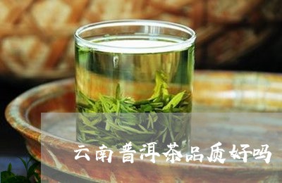 云南普洱茶品质好吗/2023120551686