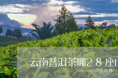 云南普洱茶哪28座山/2023092994916