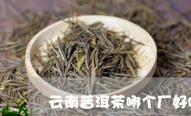 云南普洱茶哪个厂好喝点/2023050638392