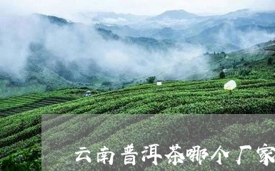 云南普洱茶哪个厂家的茶好一些/2023053006260