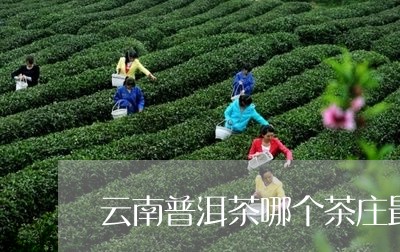 云南普洱茶哪个茶庄最老/2023122038581