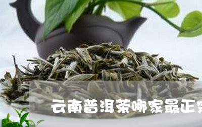 云南普洱茶哪家最正宗/2023080249515