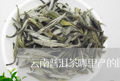 云南普洱茶哪里产的最好喝/2023110229374