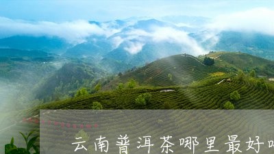 云南普洱茶哪里最好喝最出名/2023110244936