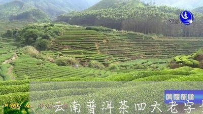 云南普洱茶四大老字号/2023061506240