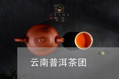 云南普洱茶团/2023042650942