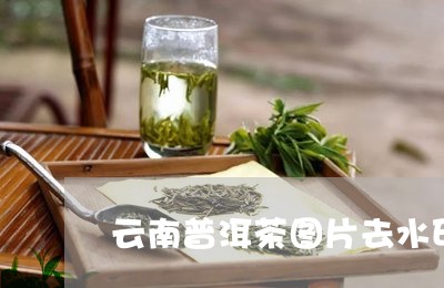 云南普洱茶图片去水印/2023080145046