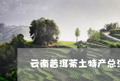 云南普洱茶土特产总汇/2023100650414