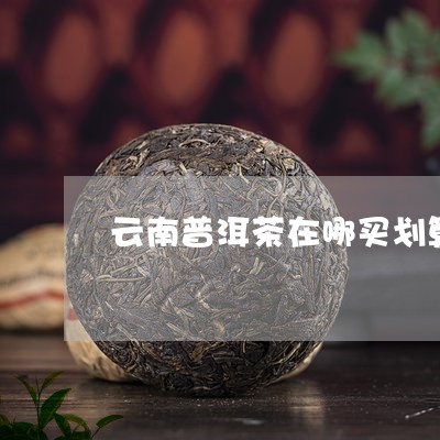 云南普洱茶在哪买划算一点/2023082740604