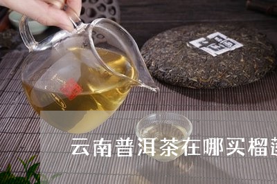 云南普洱茶在哪买榴莲仁/2023050721615