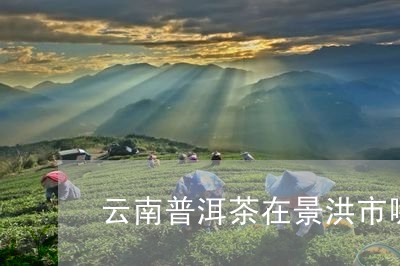 云南普洱茶在景洪市哪里买/2023110584948