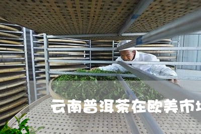 云南普洱茶在欧美市场/2023080104939