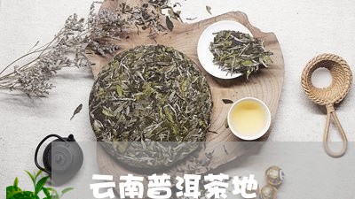 云南普洱茶地/2023042833791