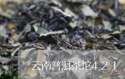 云南普洱茶坨421/2023091466038