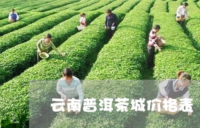 云南普洱茶城价格表/2023120553515