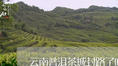 云南普洱茶城封路了吗/2023120690815