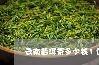 云南普洱茶多少钱1饼/2023092808592