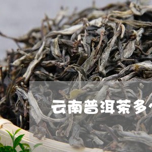 云南普洱茶多少钱一袋/2023092697393