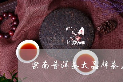 云南普洱茶大品牌茶厂/2023120638361