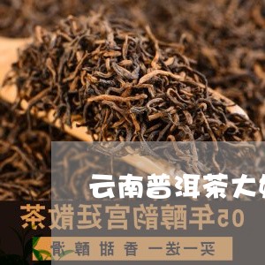 云南普洱茶大姐/2023112625230