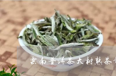 云南普洱茶大树熟茶饼/2023112736149