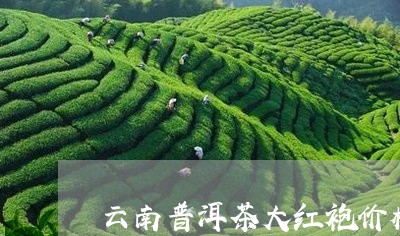 云南普洱茶大红袍价格及图片/2023052800482