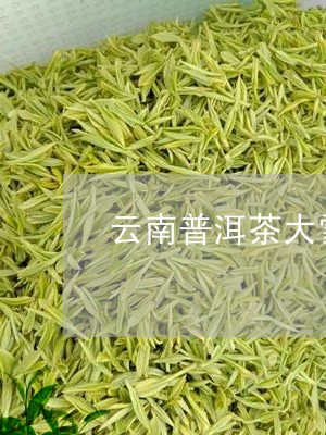 云南普洱茶大雪山熟茶/2023062392836