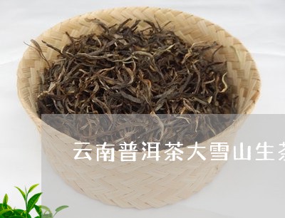 云南普洱茶大雪山生茶/2023062271613