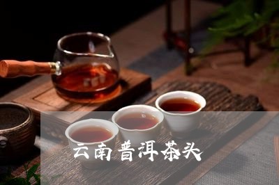 云南普洱茶头/2023042995542