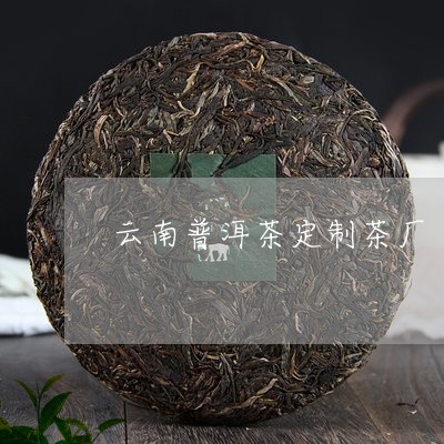 云南普洱茶定制茶厂/2023070859371