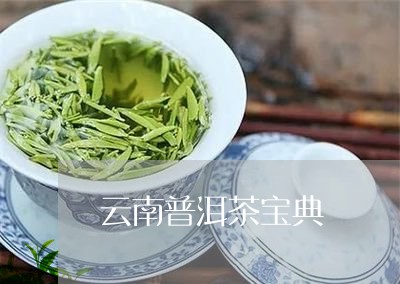 云南普洱茶宝典/2023102661595