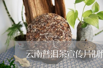 云南普洱茶宣传片制作视频/2023051074947