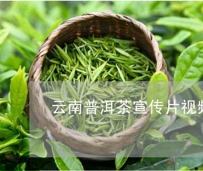 云南普洱茶宣传片视频/2023092509782