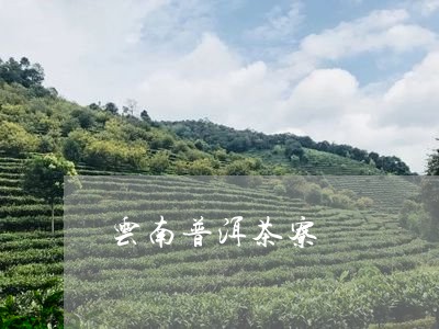 云南普洱茶寮/2023042713524