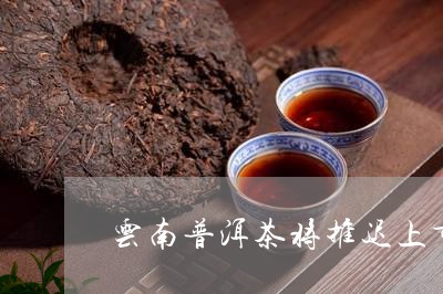 云南普洱茶将推迟上市/2023100700483