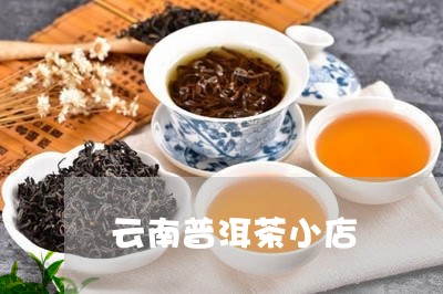 云南普洱茶小店/2023102672596