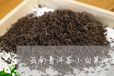 云南普洱茶小白菜沱茶/2023062337250