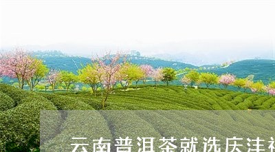 云南普洱茶就选庆沣祥/2023092924027