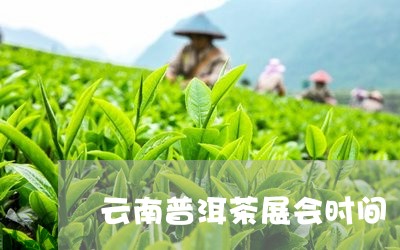 云南普洱茶展会时间/2023091310583