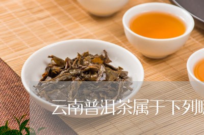 云南普洱茶属于下列哪种茶类/2023082847784