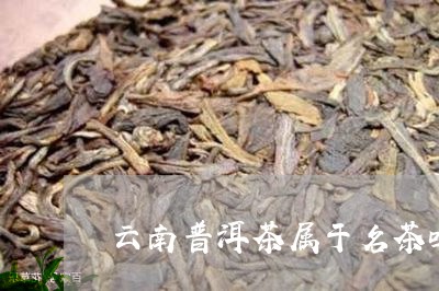 云南普洱茶属于名茶吗/2023080329371