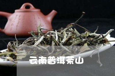 云南普洱茶山/2023042956551