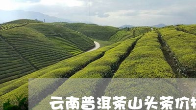 云南普洱茶山头茶价格多少/2023082587047