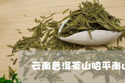 云南普洱茶山昭平南山茶海图片/2023053086150