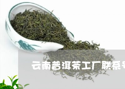 云南普洱茶工厂联系号码/2023112741606