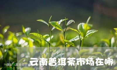 云南普洱茶市场在哪/2023042901612