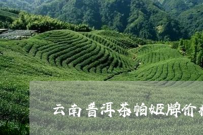 云南普洱茶帕姬牌价格/2023062221615