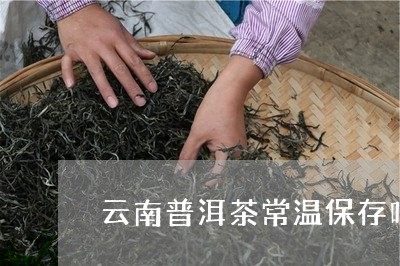 云南普洱茶常温保存吗/2023080392946