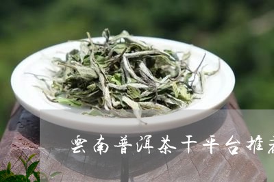 云南普洱茶干平台推荐/2023062971625