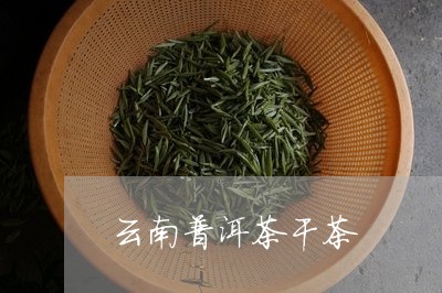 云南普洱茶干茶/2023082847350